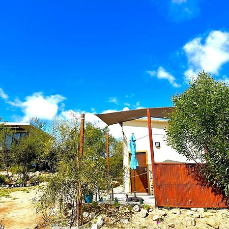 ホテル Oasis 444 San Marcos  エクステリア 写真