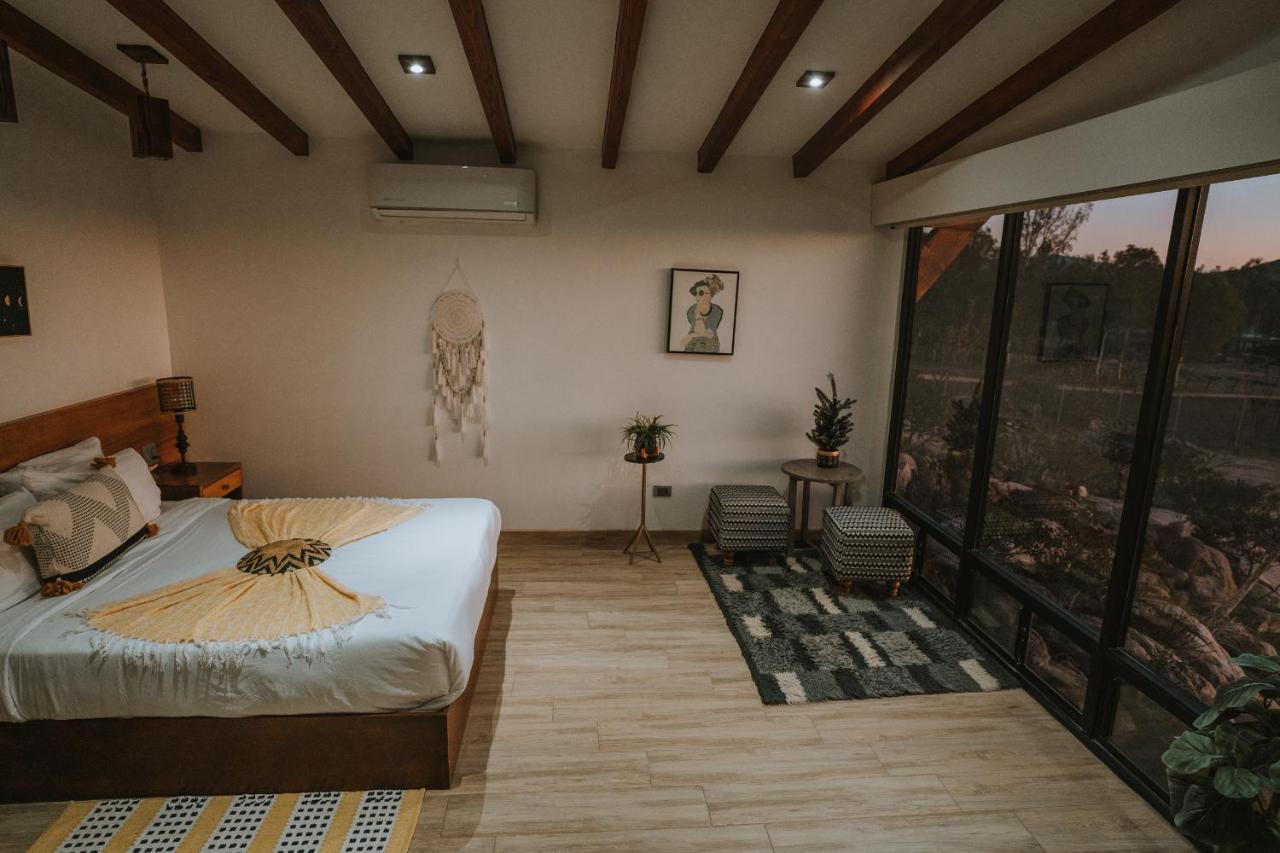 ホテル Oasis 444 San Marcos  エクステリア 写真